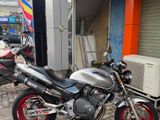 Honda Hornet 2004