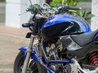 Honda Hornet 250 2004