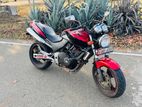 Honda Hornet 2006
