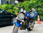 Honda Hornet 2008