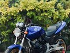 Honda Hornet 2008