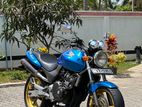 Honda Hornet 2009