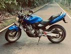 Honda Hornet 2010