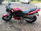 Honda Hornet 2010