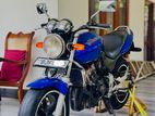 Honda Hornet 2012