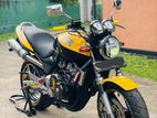 Honda Hornet 2013