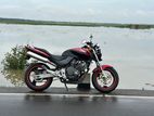 Honda Hornet 2011