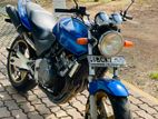 Honda Hornet 2015