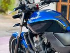 Honda Hornet 2019