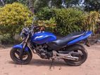 Honda Hornet 250 1991