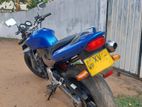 Honda Hornet 250 2009