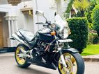 Honda Hornet 250 2010