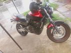 Honda Hornet 250 2010