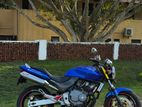 Honda Hornet 250 2012