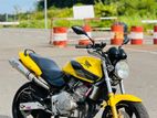 Honda Hornet 250 2024