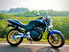 Honda Hornet 250 CH130 2009