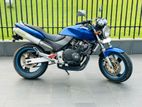 Honda Hornet 2012