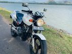 Honda Hornet 250cc 2010