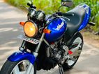 Honda Hornet CH115 2014