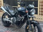 Honda Hornet 2024