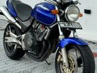 Honda Hornet Ch110 2024