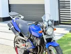 Honda Hornet CH115 2009