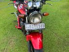 Honda Hornet CH115 2010