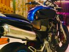 Honda Hornet CH115 2010