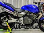 Honda Hornet CH115 2013