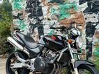 Honda Hornet Ch115 2024