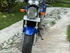 Honda Hornet CH125 2024