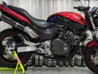 Honda Hornet CH 150 DX 2023