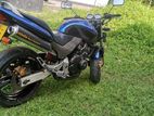 Honda Hornet chassis 115 2012