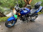 Honda Hornet CH 115 2015