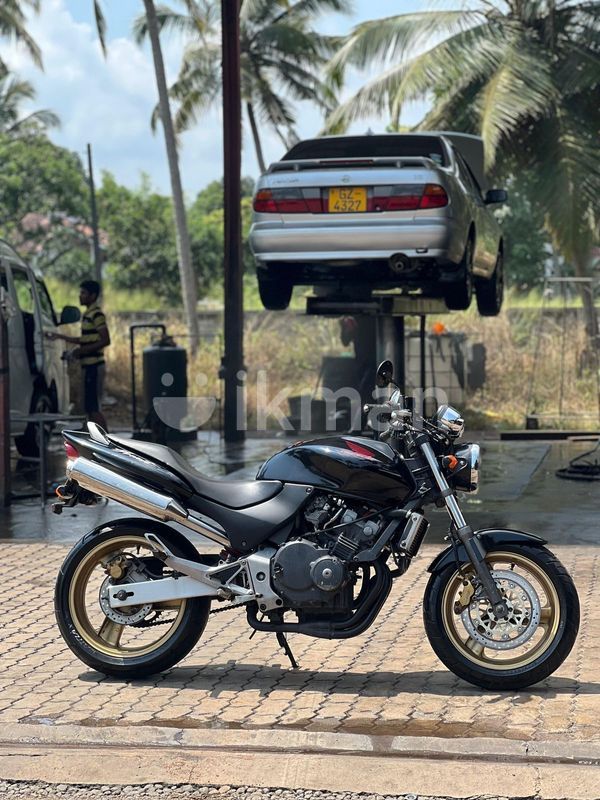 Hornet 600 For Sale In Sri Lanka Honda Hornet 2008 For Sale In