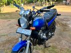 Honda Jade BLUE 2008
