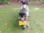 Honda Little Cub 2008