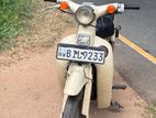 Honda Little Cub 2018