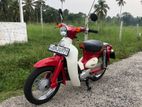 Honda Little Cub 2019