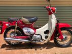 Honda Little Cub 2021