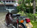 Honda Little Cub 50CC 2000