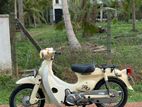 Honda Little Cub 2013