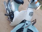 Honda Little Cub Littel 2013