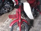 Honda MD 2023