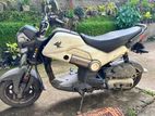 Honda Navi 2015