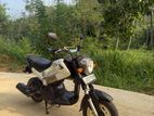 Honda Navi 2016