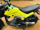 Honda Navi 2018
