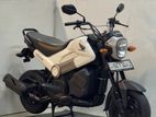 Honda Navi 2017