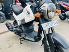 Honda Navi 2017