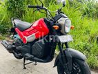Honda Navi 2017